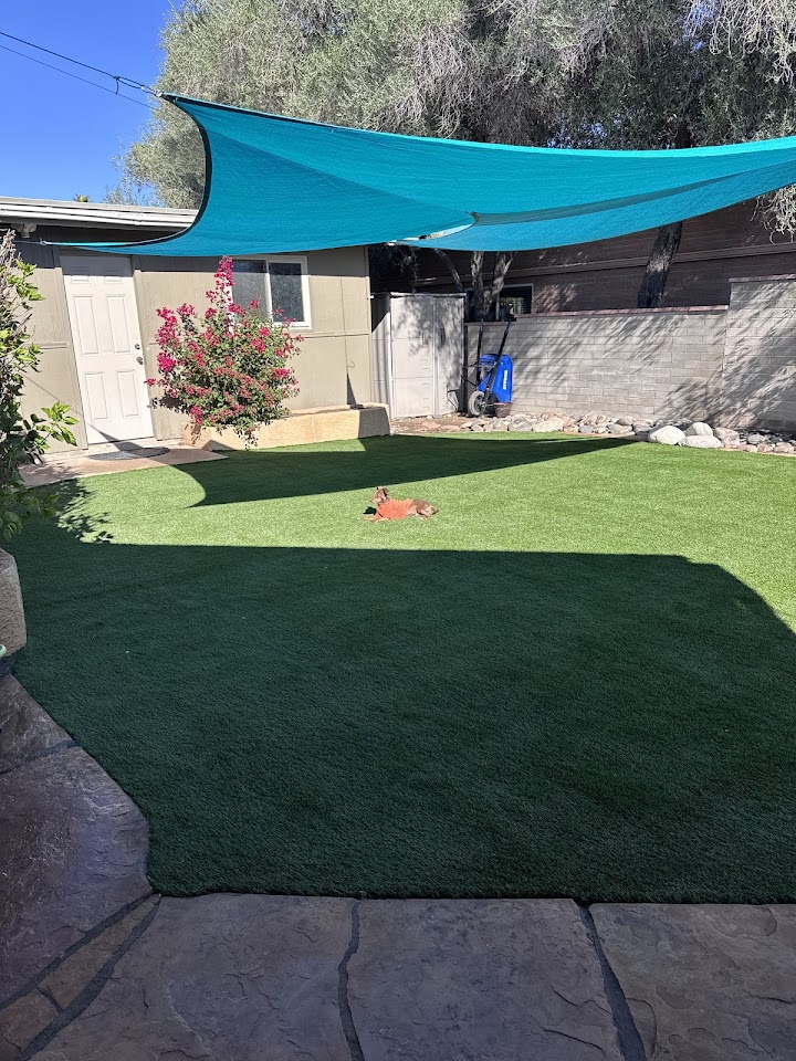 Tucson Professional Landscaping project